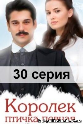 Королек – птичка певчая (2013) 30 серия на русском языке с субтитрами смотреть бесплатно
