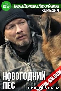 Новогодний Пёс  1, 2, 3, 4, 5 серия НТВ, ICTV, Украина смотреть бесплатно